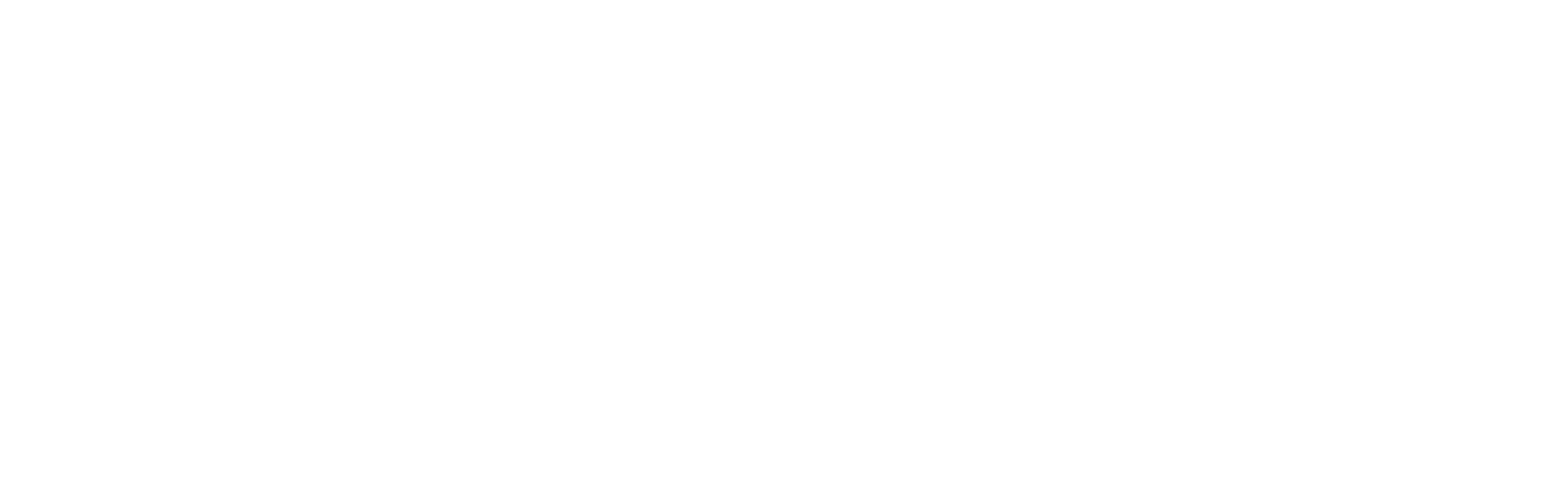 TEMSA Motorlu Araçlar